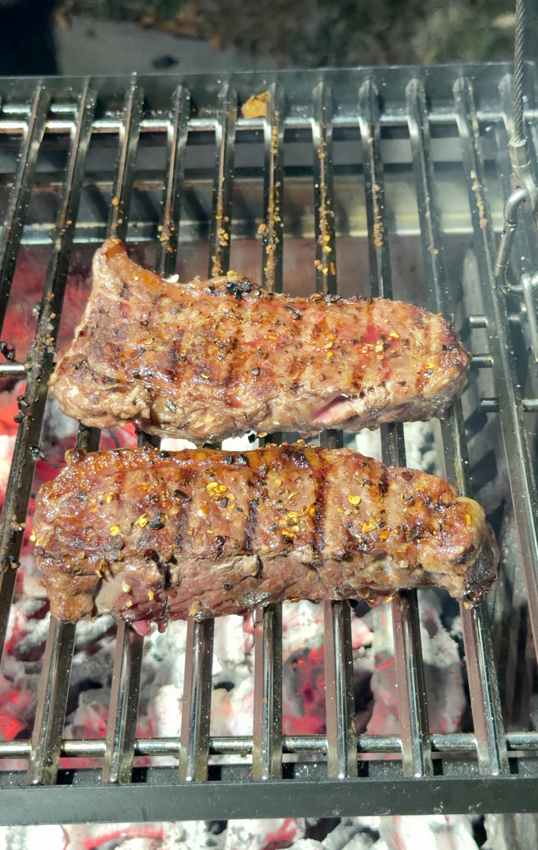 American Bison Steaks