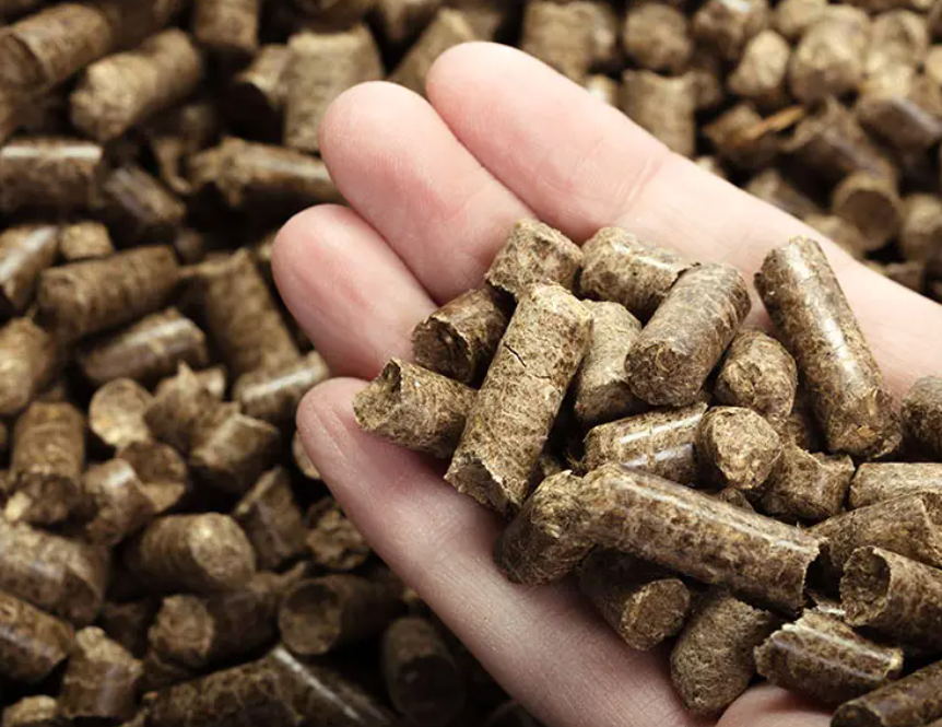 how-are-grilling-pellets-made_862x.png?v=1737654328