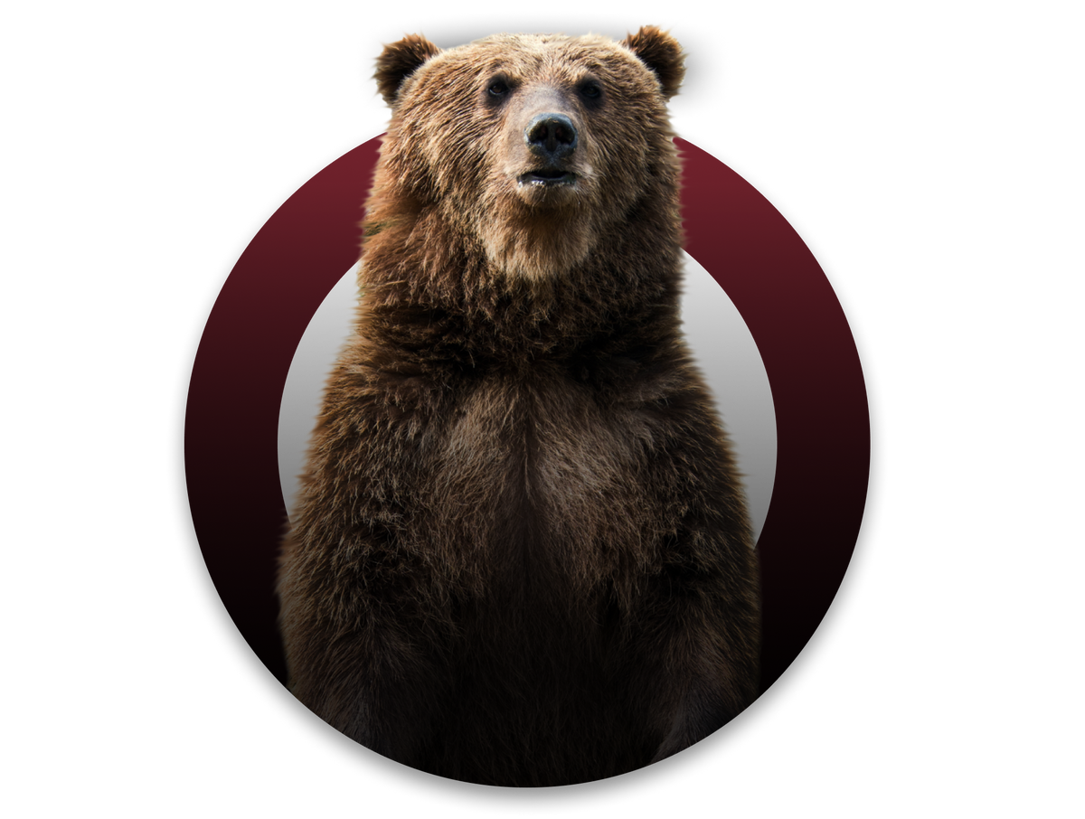 Why Bear Mountain Bear Mountain BBQ